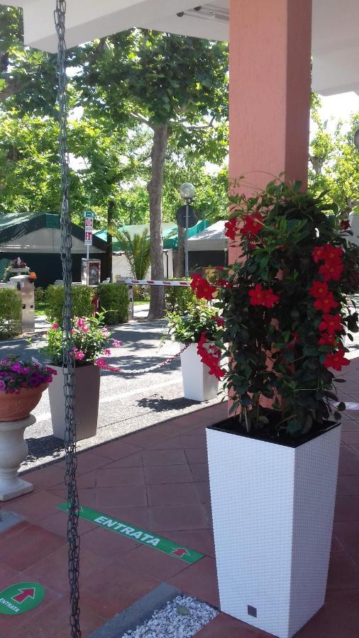 Hotel CAMPING CALATELLA parco di vacanza Marina di Massa Esterno foto