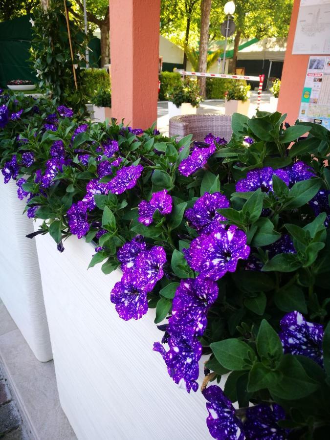 Hotel CAMPING CALATELLA parco di vacanza Marina di Massa Esterno foto