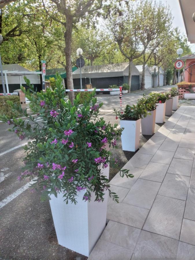 Hotel CAMPING CALATELLA parco di vacanza Marina di Massa Esterno foto